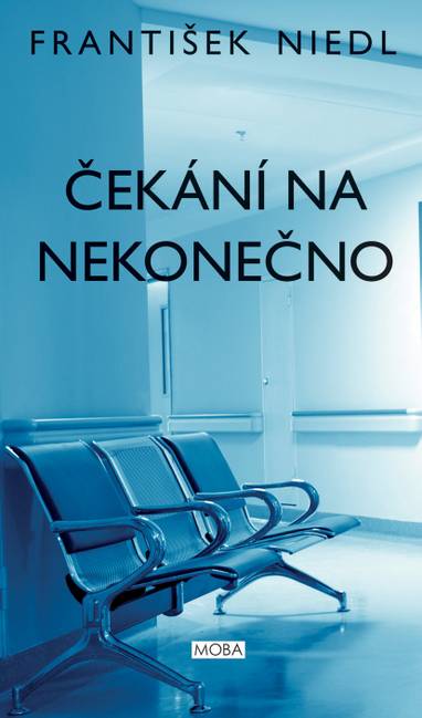 E-kniha Čekání na nekonečno - František Niedl