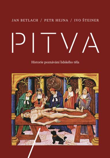 E-kniha Pitva - Ivo Šteiner, Petr Hejna, Jan Betlach