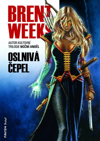 E-kniha Oslnivá čepel - Brent Weeks