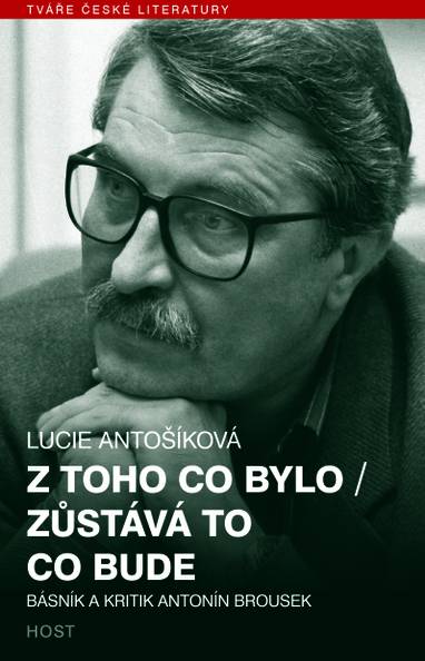 E-kniha Z toho co bylo / Zůstává to co bude - Lucie Antošíková