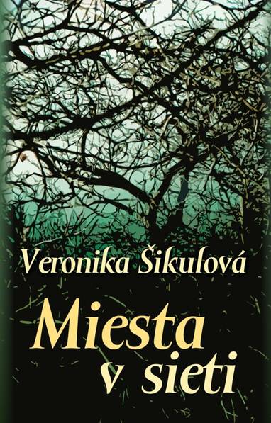 E-kniha Miesta v sieti - Veronika Šikulová