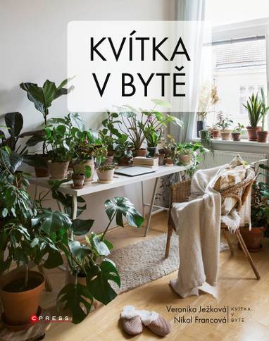 E-kniha Kvítka v bytě - kolektiv autorů