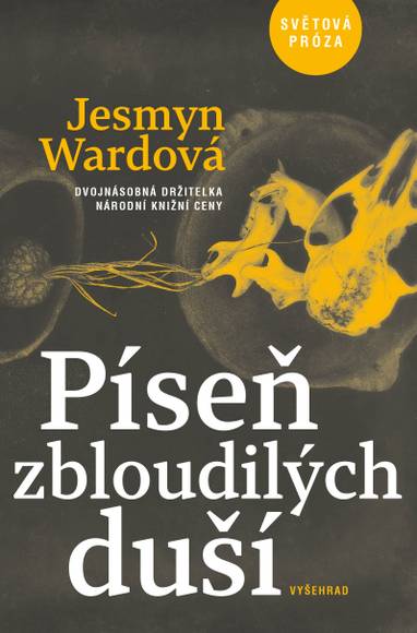 E-kniha Píseň zbloudilých duší - Jesmyn Wardová