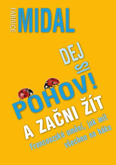 E-kniha Dej si pohov! A začni žít - Fabrice Midal