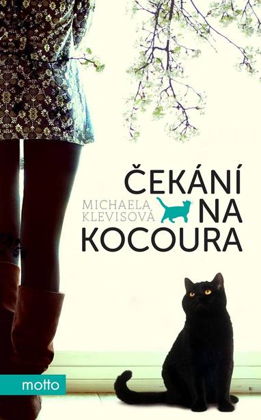 E-kniha Čekání na kocoura - Michaela Klevisová