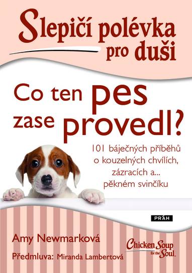 E-kniha Slepičí polévka pro duši: Co ten pes zase provedl? - Amy Newmark, Miranda Lambertová