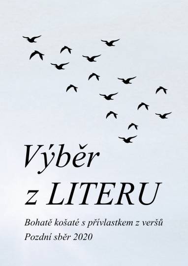 E-kniha Výběr z LITERU - Čeněk Pekař (ed.)