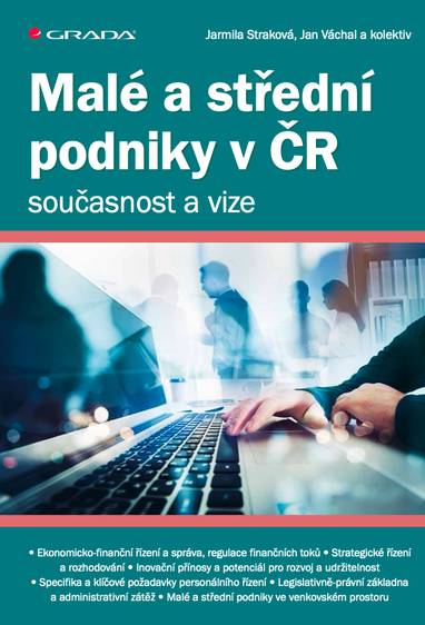 E-kniha Malé a střední podniky v ČR – současnost a vize - Jarmila Straková