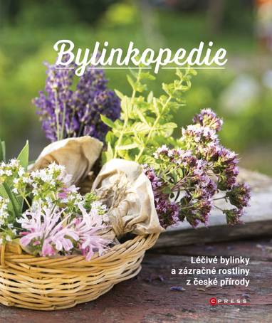 E-kniha Bylinkopedie - kolektiv