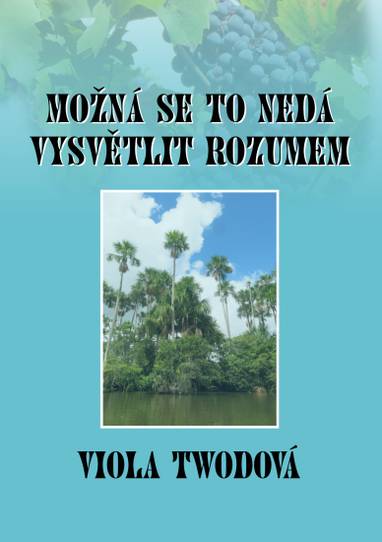 E-kniha Možná se to nedá vysvětlit rozumem - Viola Twodová