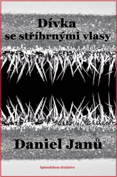 E-kniha Dívka se stříbrnými vlasy - Daniel Janů