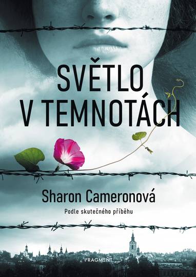 E-kniha Světlo v temnotách - Sharon Cameronová