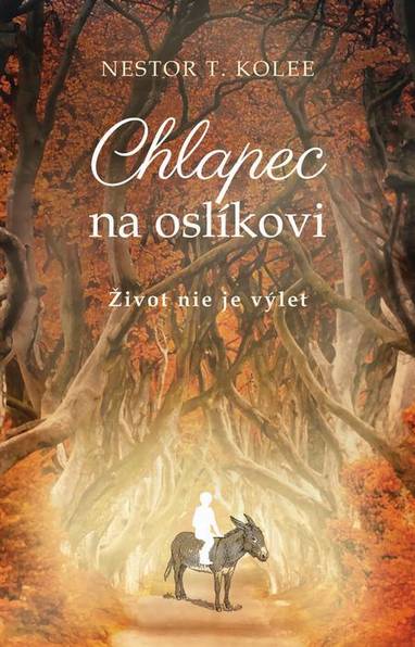 E-kniha Chlapec na oslíkovi - Nestor T. Kolee