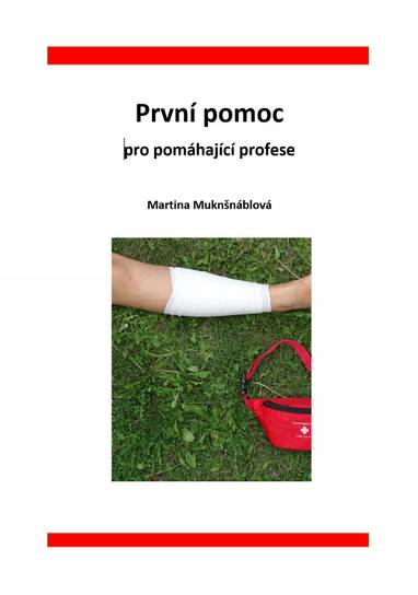 E-kniha První pomoc pro pomáhající profese - PhDr. Martina Muknšnáblová MBA, PhD.