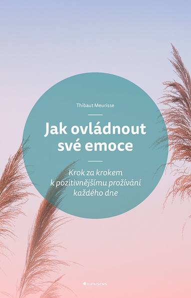 E-kniha Jak ovládnout své emoce - Thibaut Meurisse