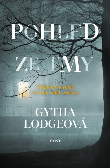 E-kniha Pohled ze tmy - Gytha Lodgeová