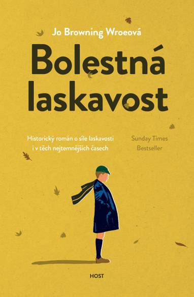 E-kniha Bolestná laskavost - Jo Browning Wroeová