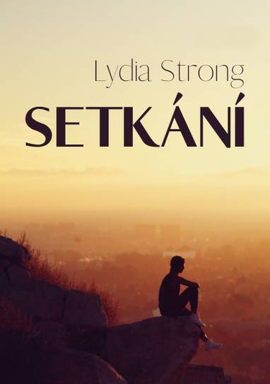 E-kniha Setkání - Lydia Strong