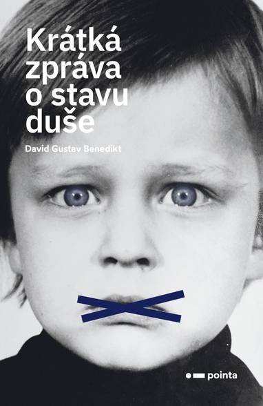 E-kniha Krátká zpráva o stavu duše - David Gustav Benedikt