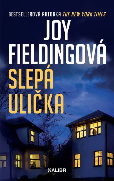 E-kniha Slepá ulička - Joy Fielding