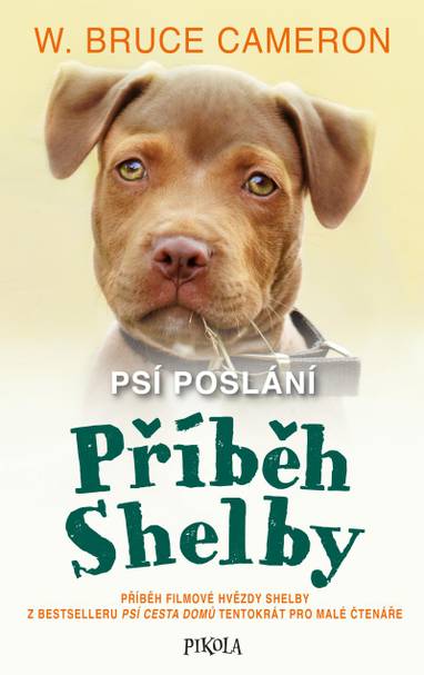 E-kniha Příběh Shelby : příběh filmové hvězdy Shelby z bestselleru Psí cesta domů tentokrát pro malé čtenáře - W. Bruce Cameron