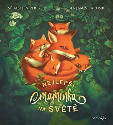 E-kniha Nejlepší maminka na světě - Sébastien Perez, Benjamin Lacombe