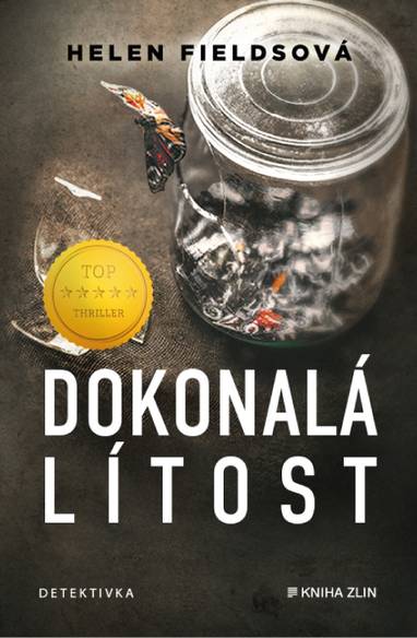 E-kniha Dokonalá lítost - Helen Fieldsová