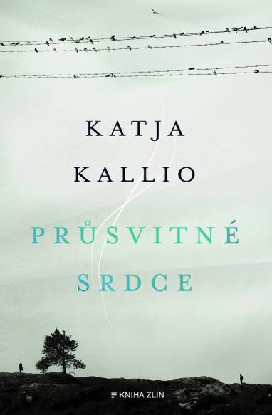 E-kniha Průsvitné srdce - Katja Kallio