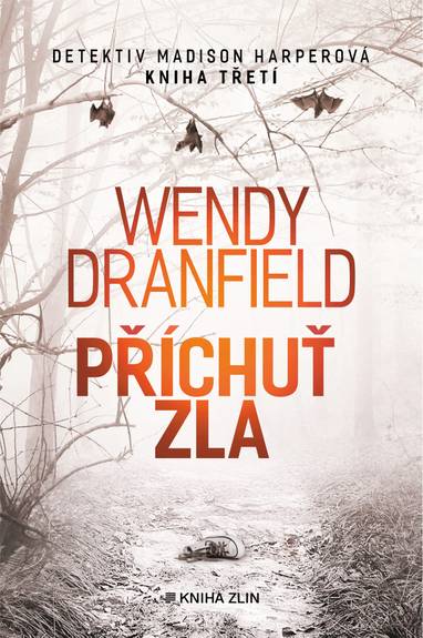 E-kniha Příchuť zla - Wendy Dranfield