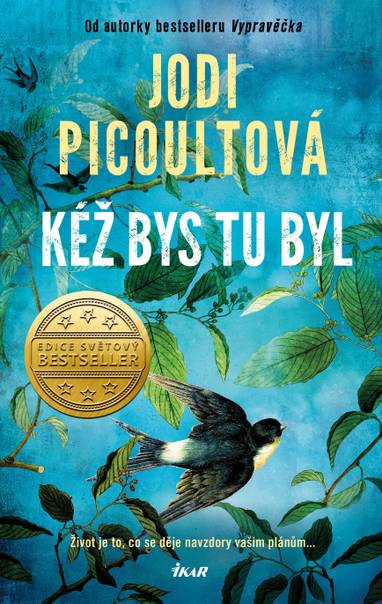 E-kniha Kéž bys tu byl - Jodi Picoult