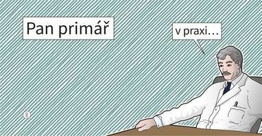 E-kniha Pan primář v praxi - Pan Primář