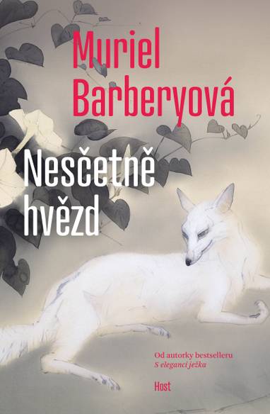 E-kniha Nesčetně hvězd - Muriel Barberyová