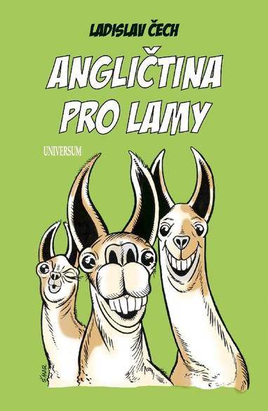 E-kniha Angličtina pro lamy - Ladislav Čech