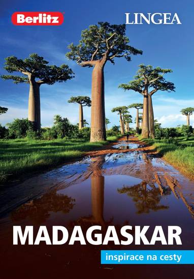 E-kniha Madagaskar - kolektiv autorů