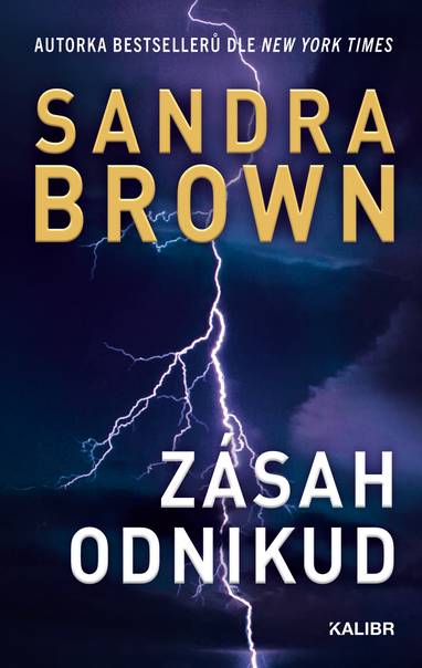 E-kniha Zásah odnikud - Sandra Brown