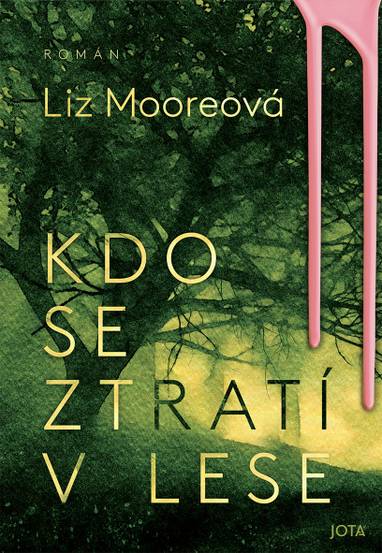 E-kniha Kdo se ztratí v lese - Liz Moore