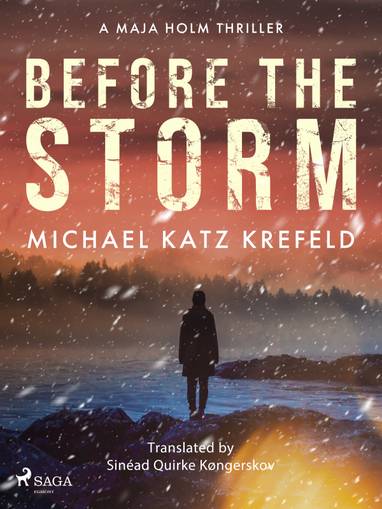 E-kniha Before the Storm - Michael Katz Krefeld