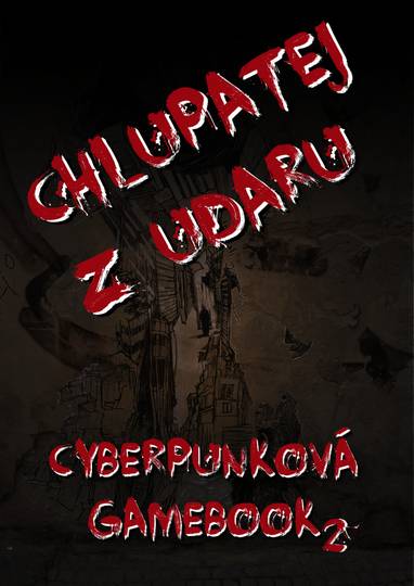 E-kniha Chlupatej z Udaru - Bc. Martin Koláček